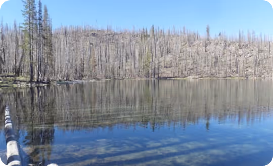A clear, calm lake reflects a forest on the opposite bank, where visible signs of fire damage are evid