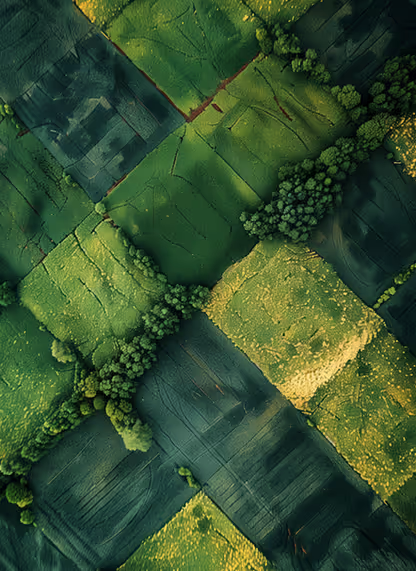 URBA TerraGrid instantly analyzes any plot to determine the optimal number of homes, parcel layout, and street positioning.