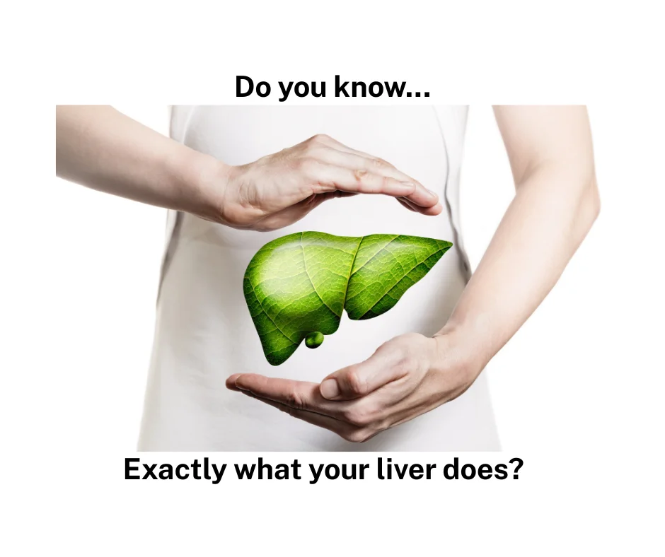 The role of the Liver in Fat Loss