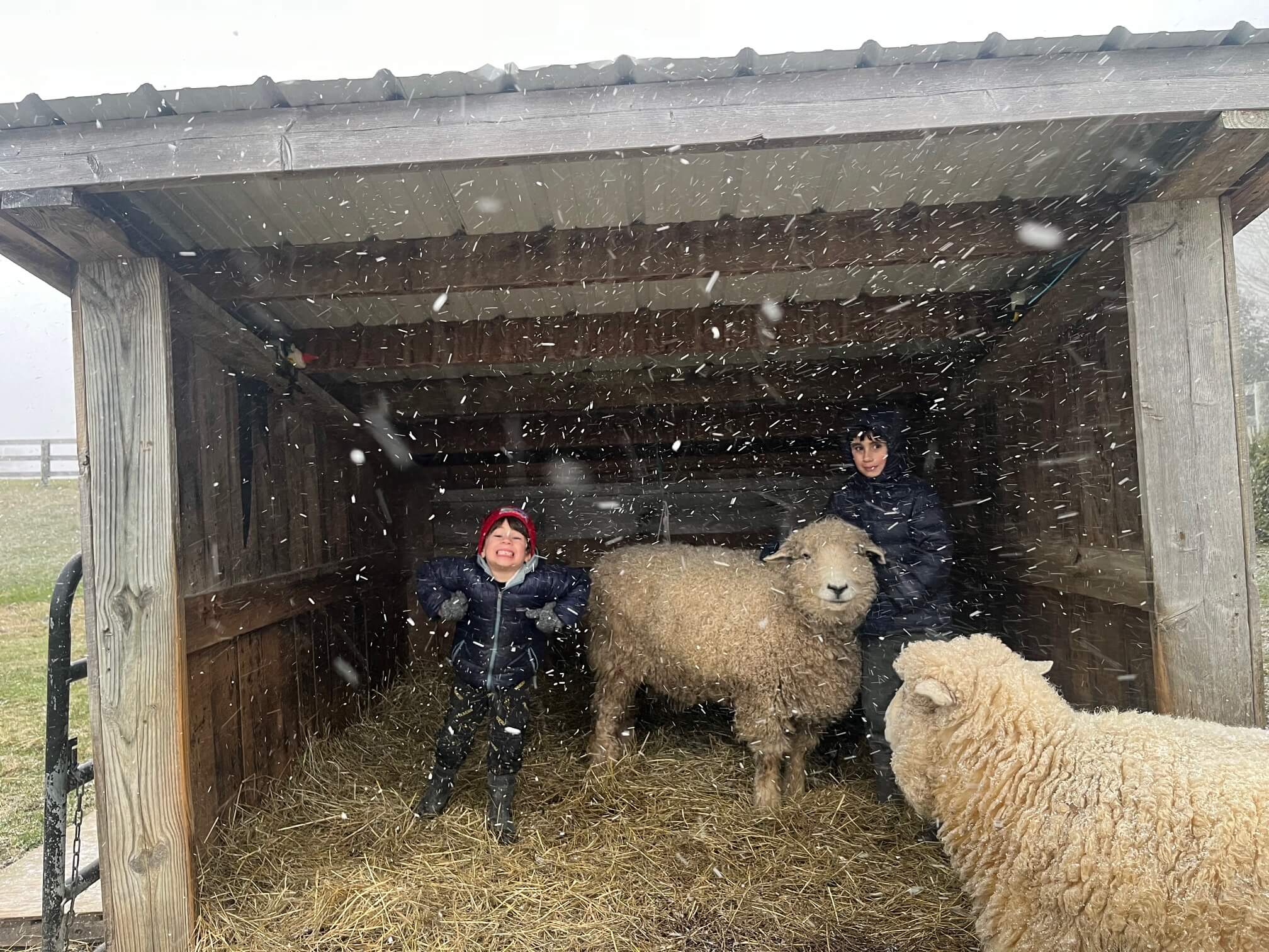 A recent adventure at a farm in central New York.