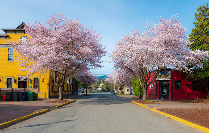 Picture of snoqualimie washington