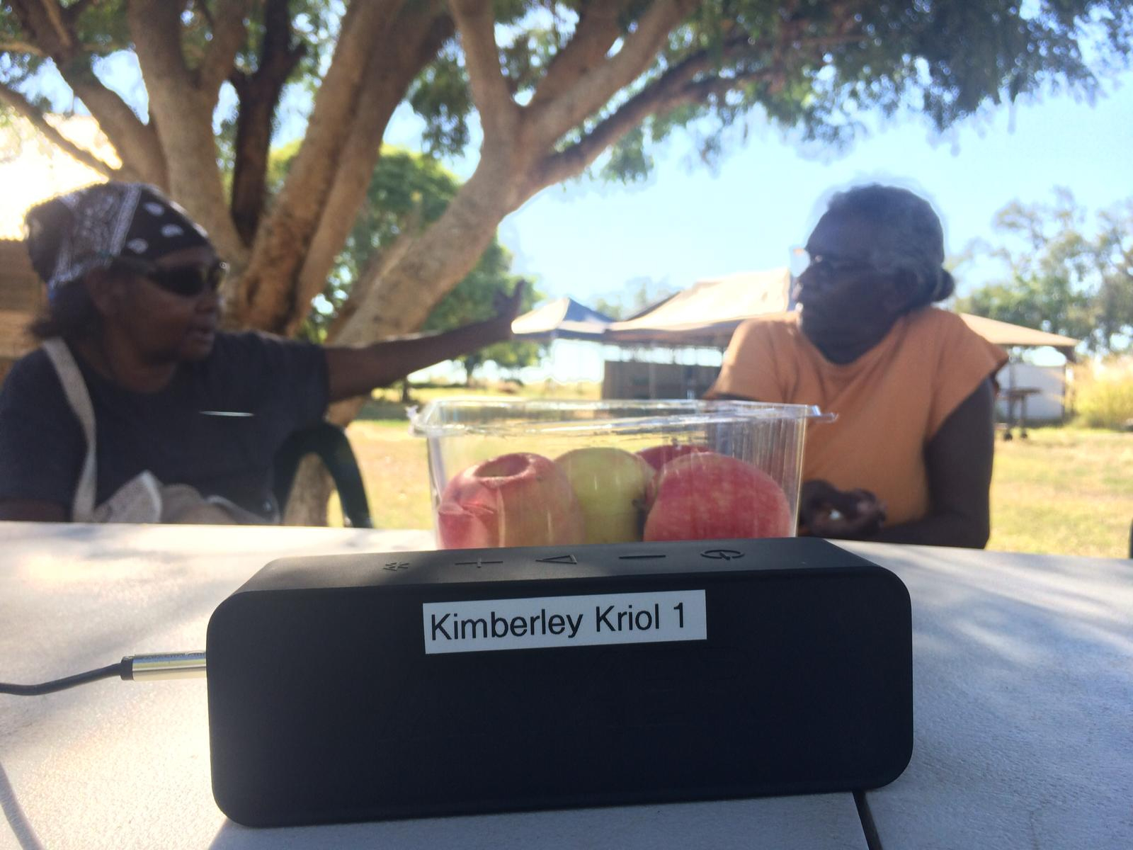 two translators and a speaker