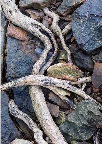 At the core of our vision is our nonprofit, the Song Saa Foundation, dedicated to regenerating marine habitats, communities and land in the Koh Rong Archipelago and Siem Reap.