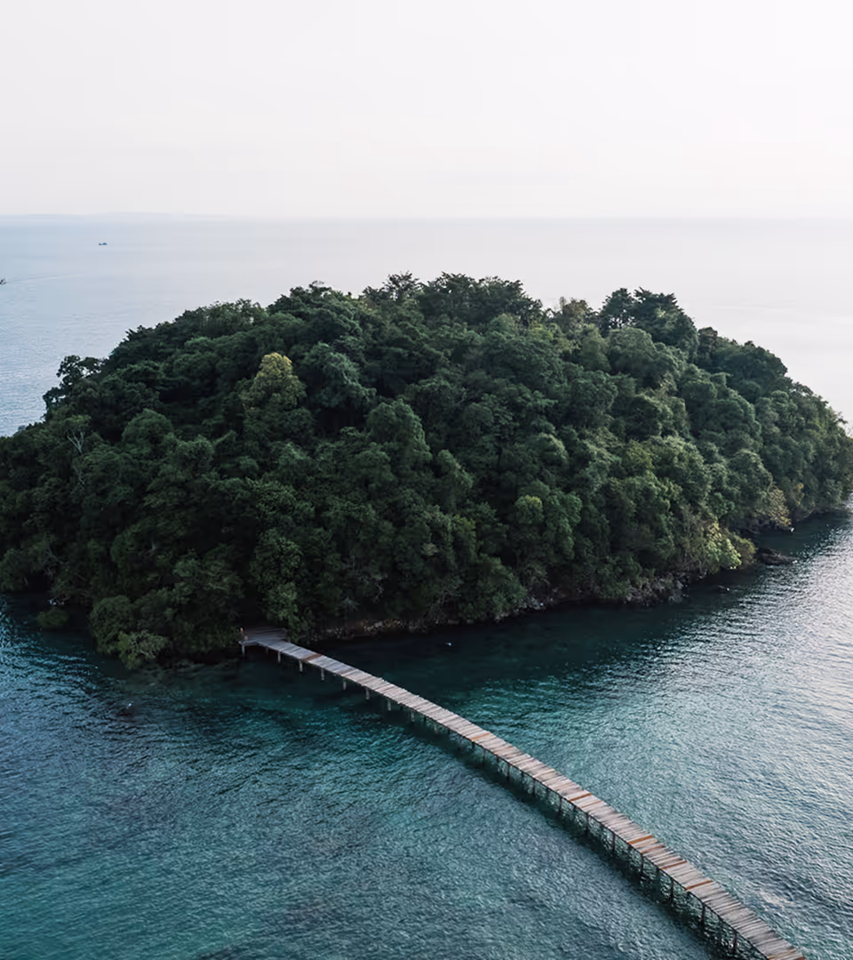 About us
We believe the role of business is to serve society and Mother Earth in equal measure