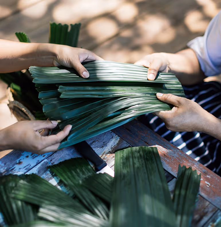 At the core of our vision is our nonprofit, the Song Saa Foundation, dedicated to regenerating marine habitats, communities and land in the Koh Rong Archipelago and Siem Reap.