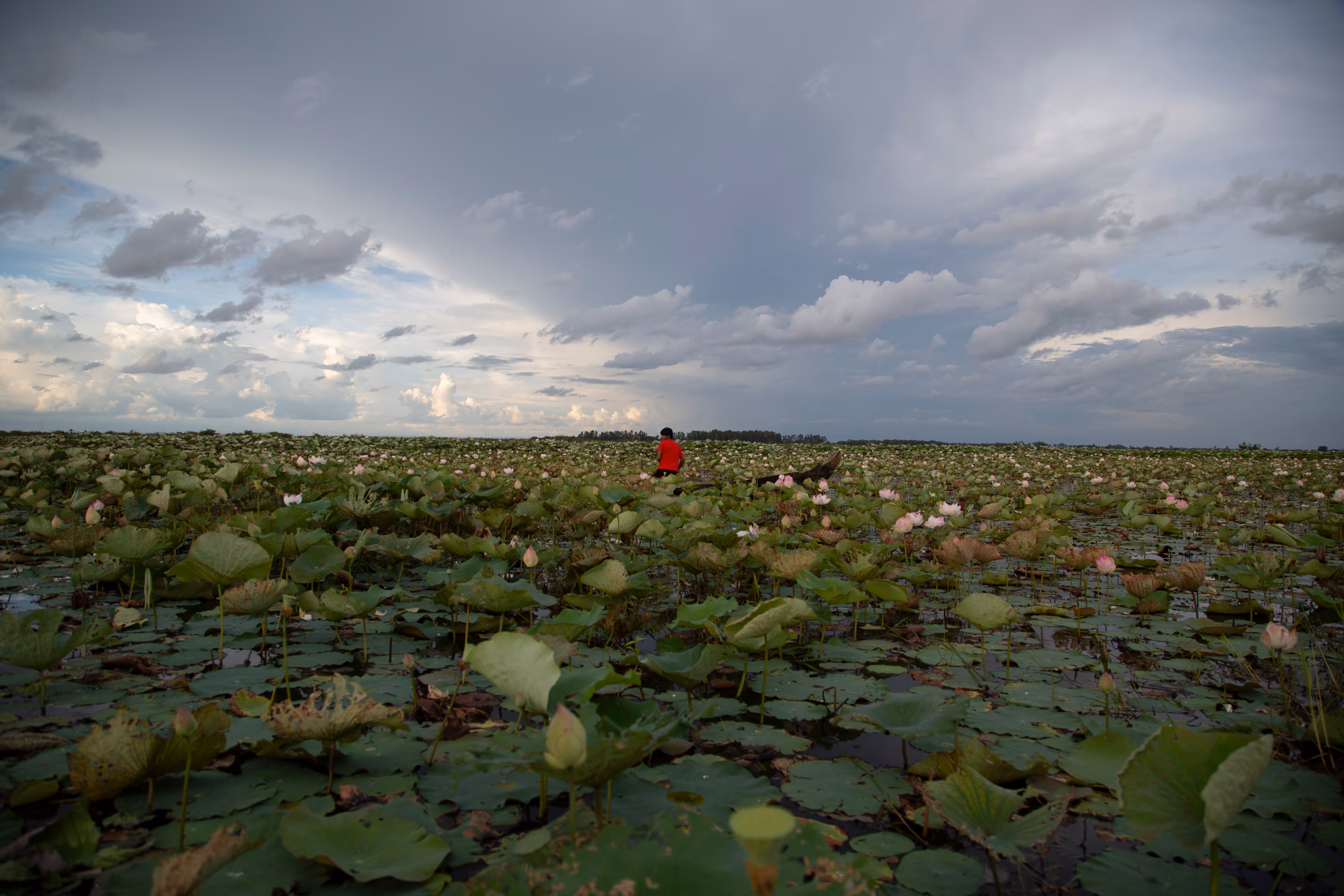 Lake & Wetland Restoration Programme
This project will restore the Song Saa Reserve’s major water body—Boeung Chhouk—to its former glory, increasing open water areas and rehabilitating wetland habitats.