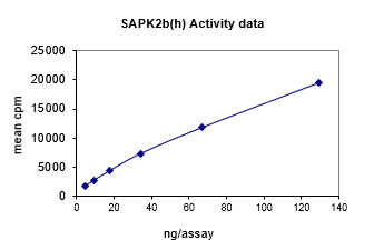 Activity data for p38β2/SAPK2b2, active human recombinant kinase protein