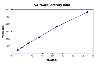 p38δ/SAPK4, active Human Recombinant Kinase Protein
