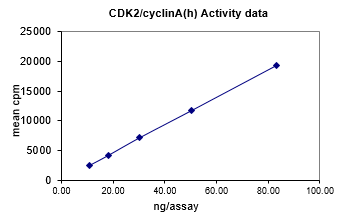 Activity data for Cdk2/Cyclin A, active human recombinant kinase protein