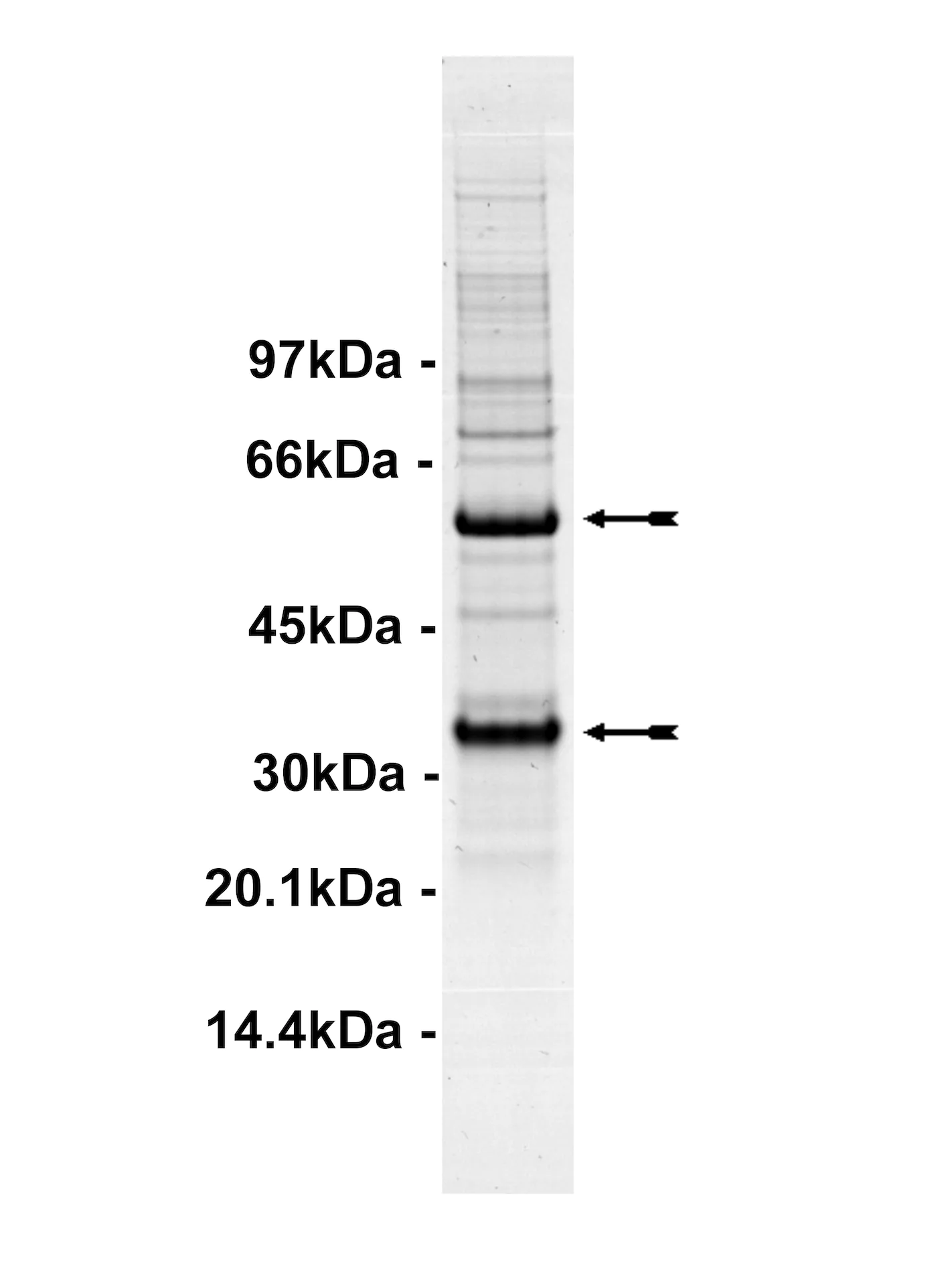 14-477