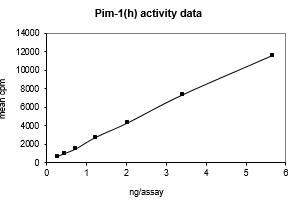 Activity data for PIM1, active human recombinant kinase protein