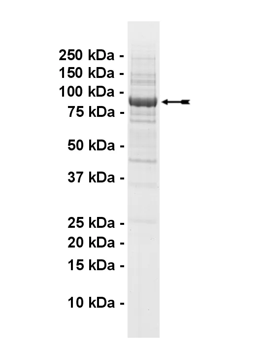 14-485