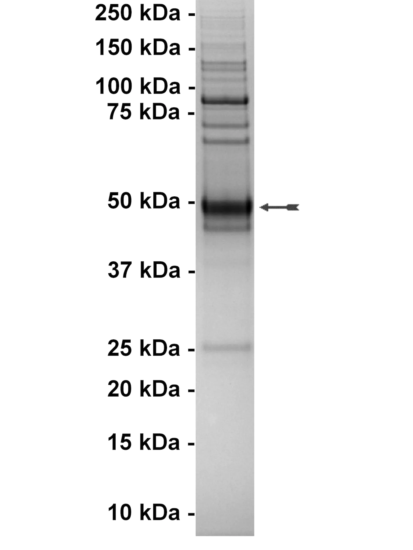 14-512