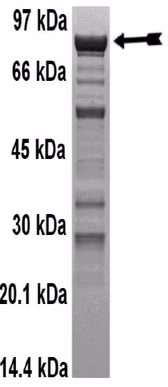 14-642