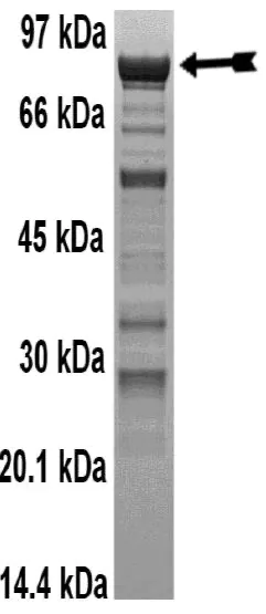 14-642