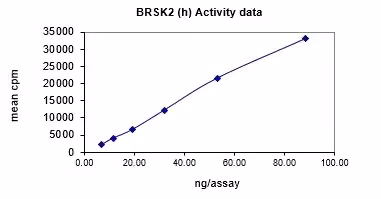 Activity data for BrSK2, active human recombinant kinase protein