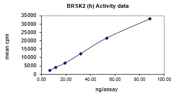 Activity data for BrSK2, active human recombinant kinase protein