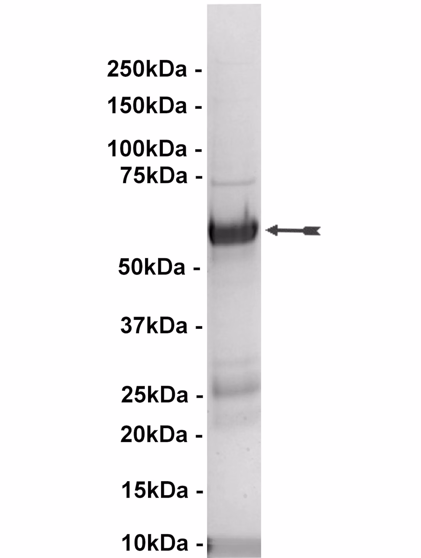 14-592