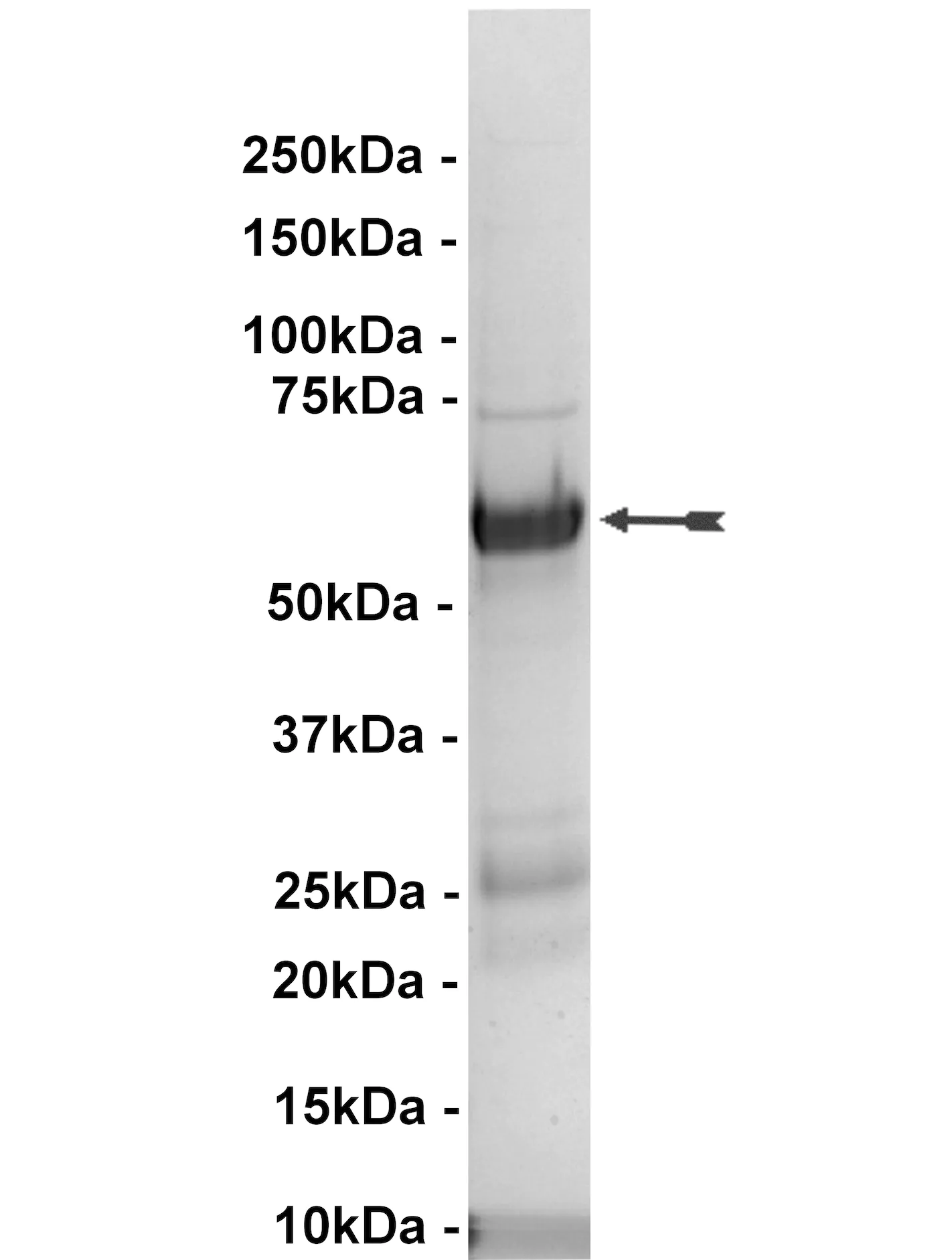 14-592