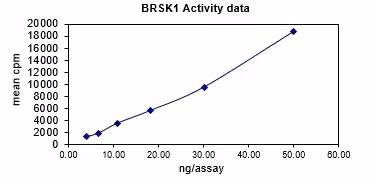 Activity data for BrSK1, active human recombinant kinase protein