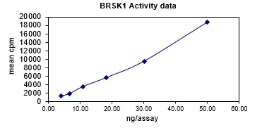 Activity data for BrSK1, active human recombinant kinase protein