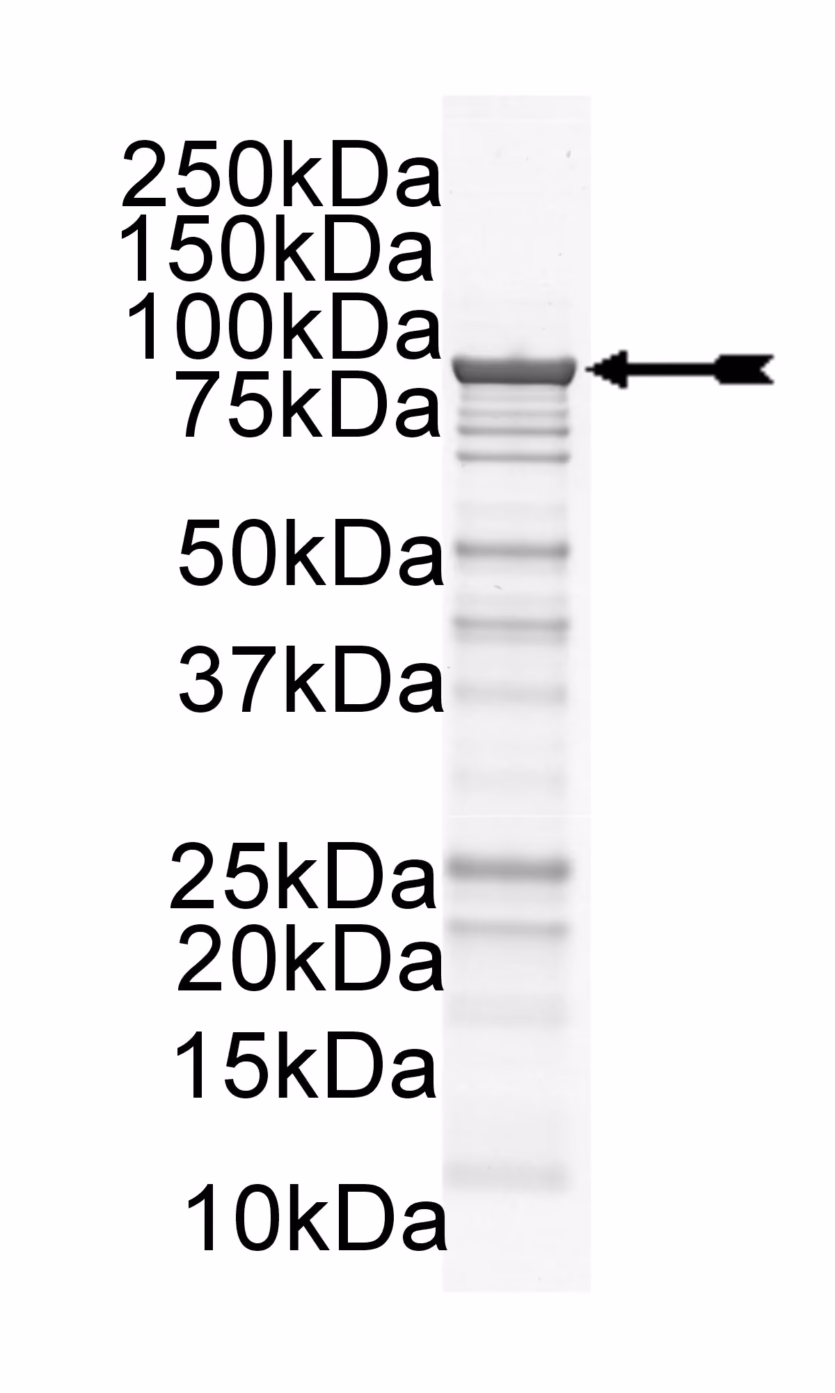 14-618