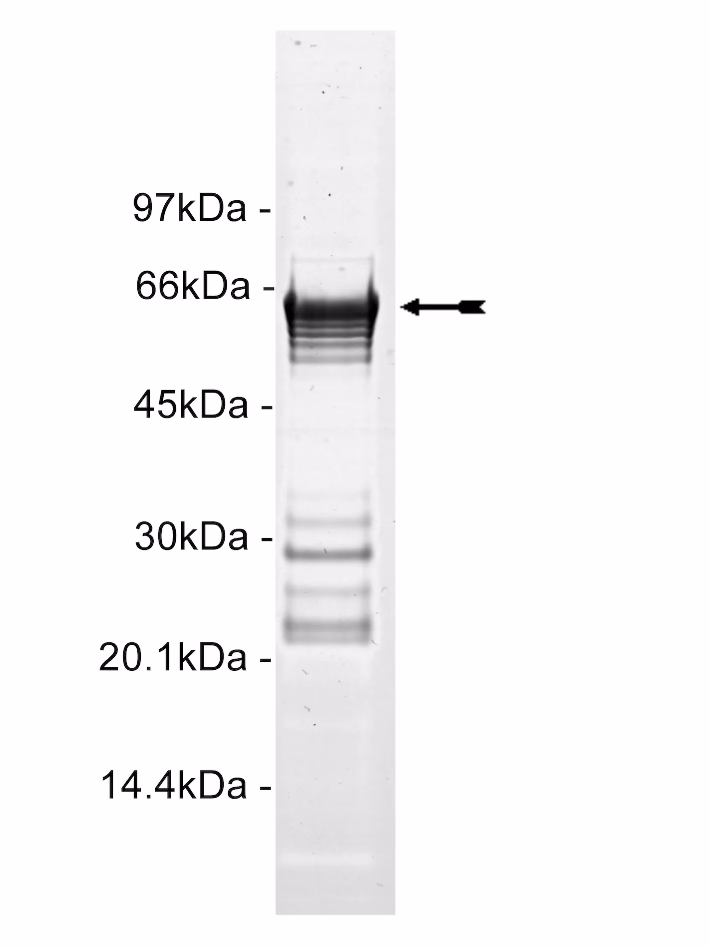 14-621
