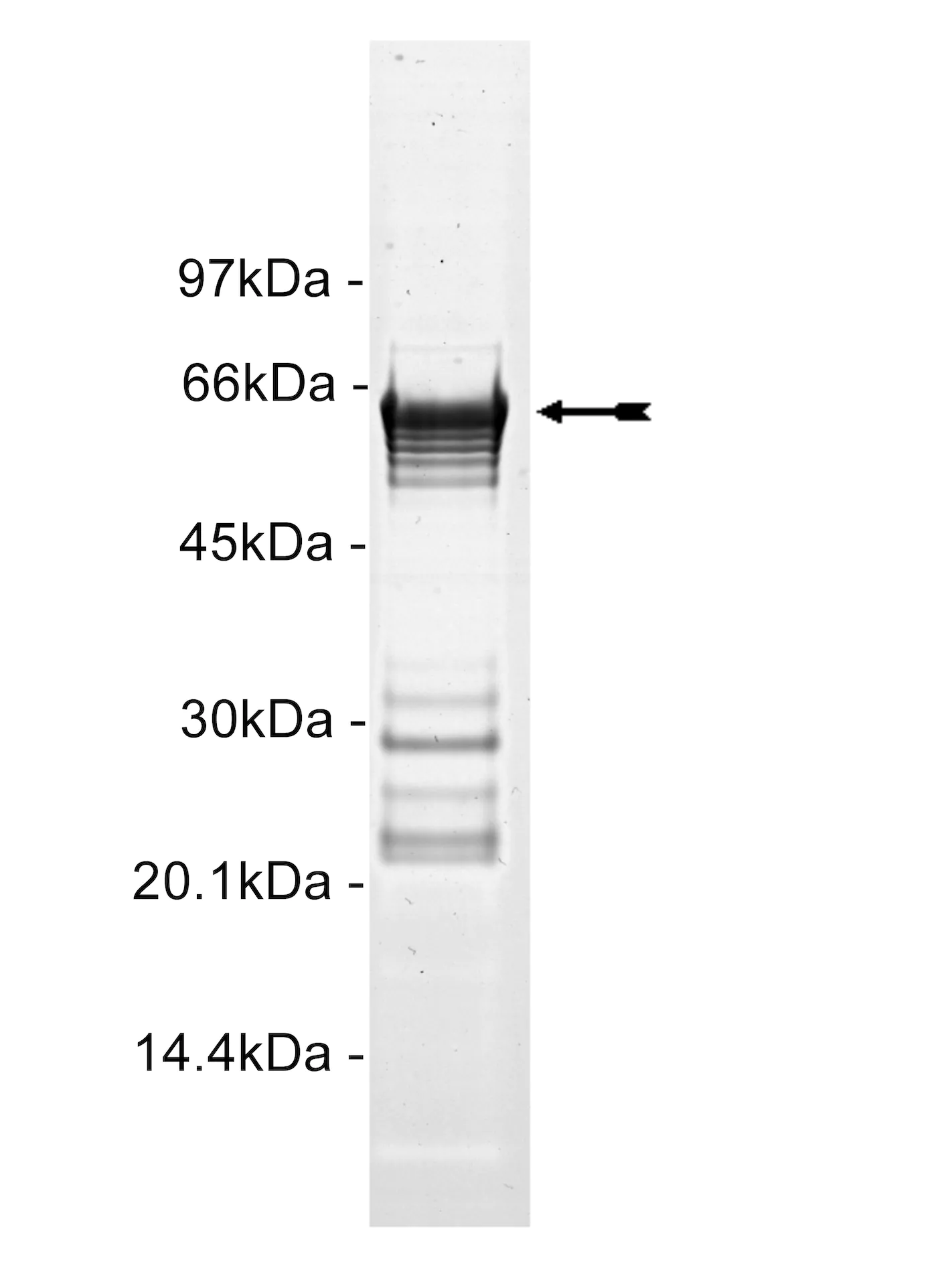 14-621