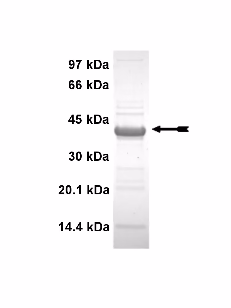 14-646