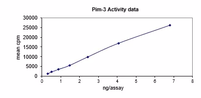 Activity data for PIM3, active human recombinant kinase protein