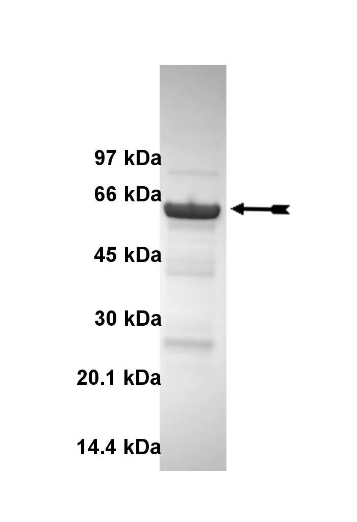 14-687