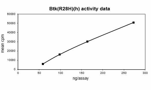 Activity data for BTK (R28H), active human recombinant kinase protein