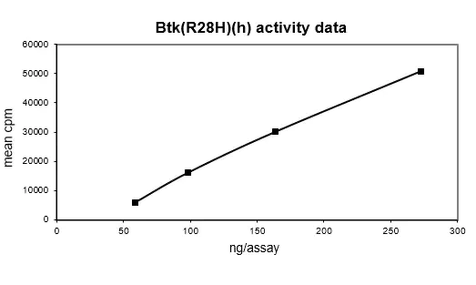 Activity data for BTK (R28H), active human recombinant kinase protein