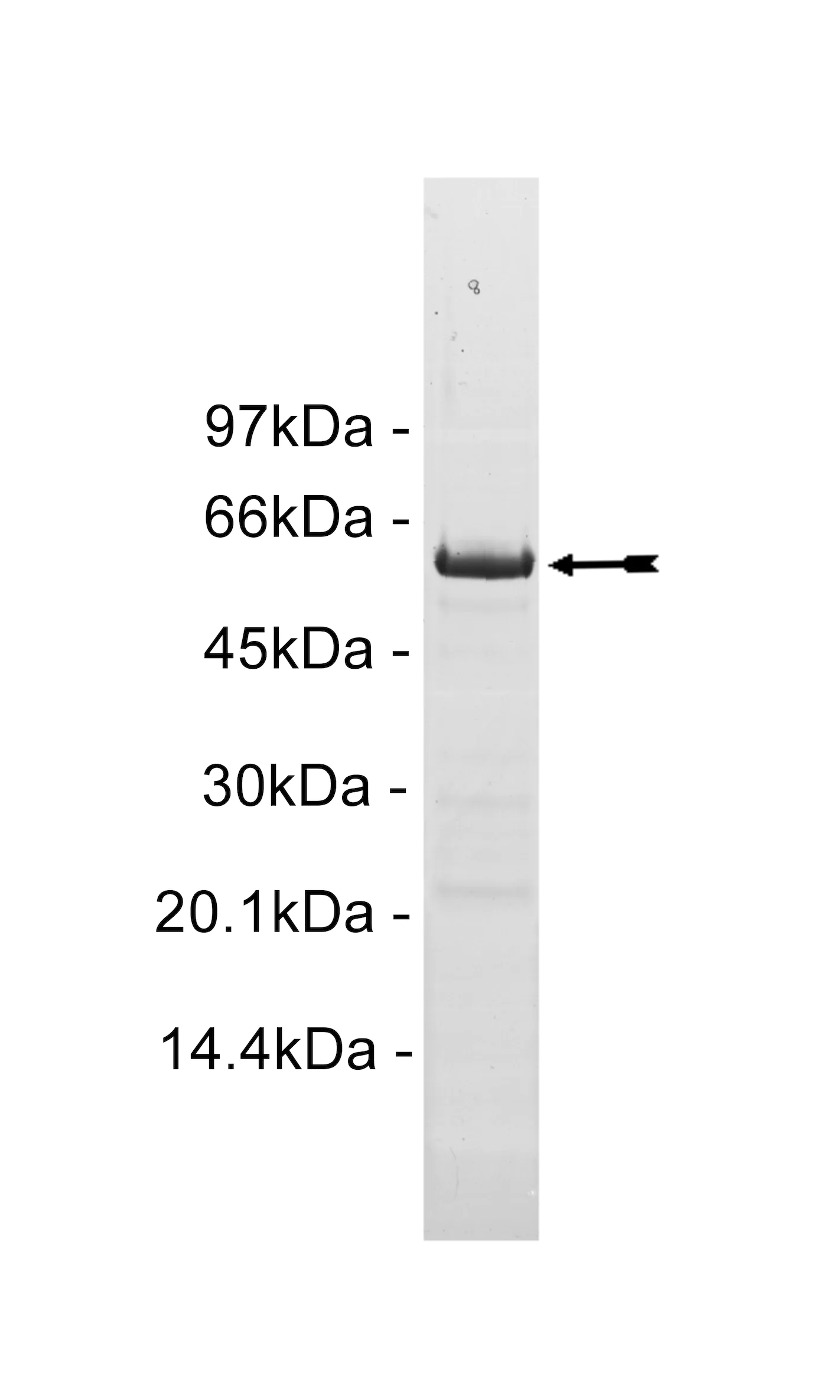 14-768