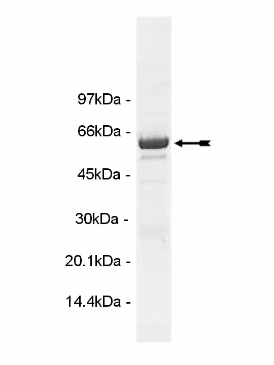14-780