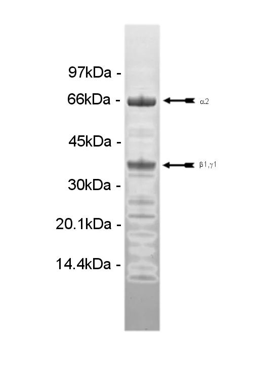 14-902