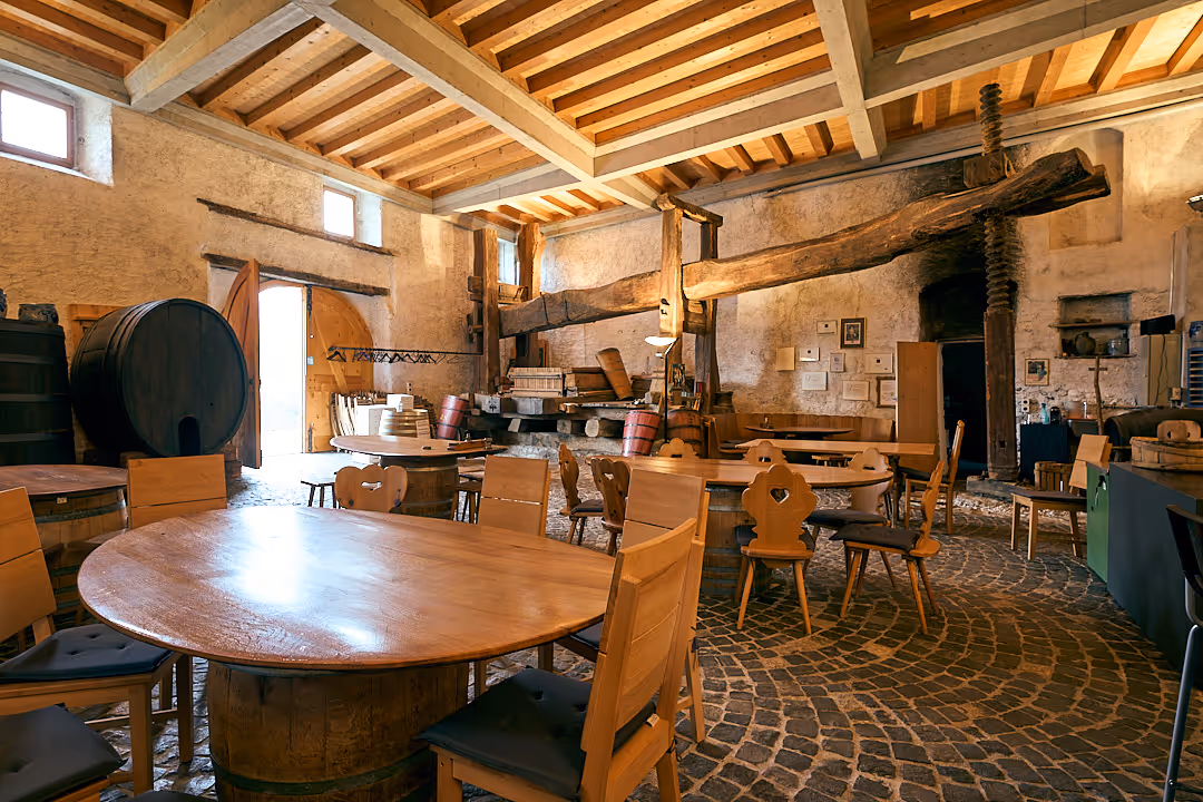 Blick in den Torkel Maienfeld