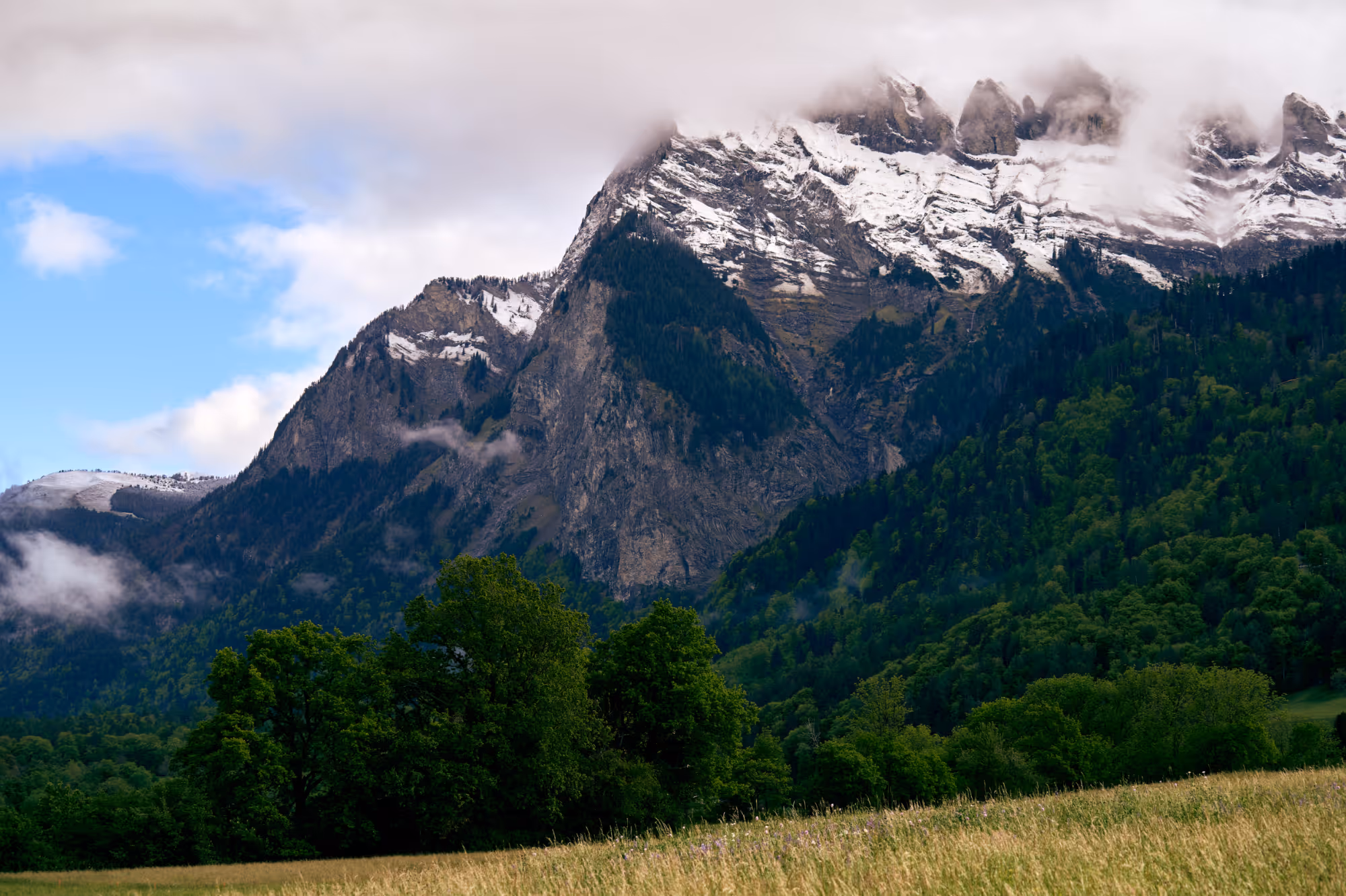 Schneebedeckte Berge mit Wolken, grünen Wäldern in Maienfeld