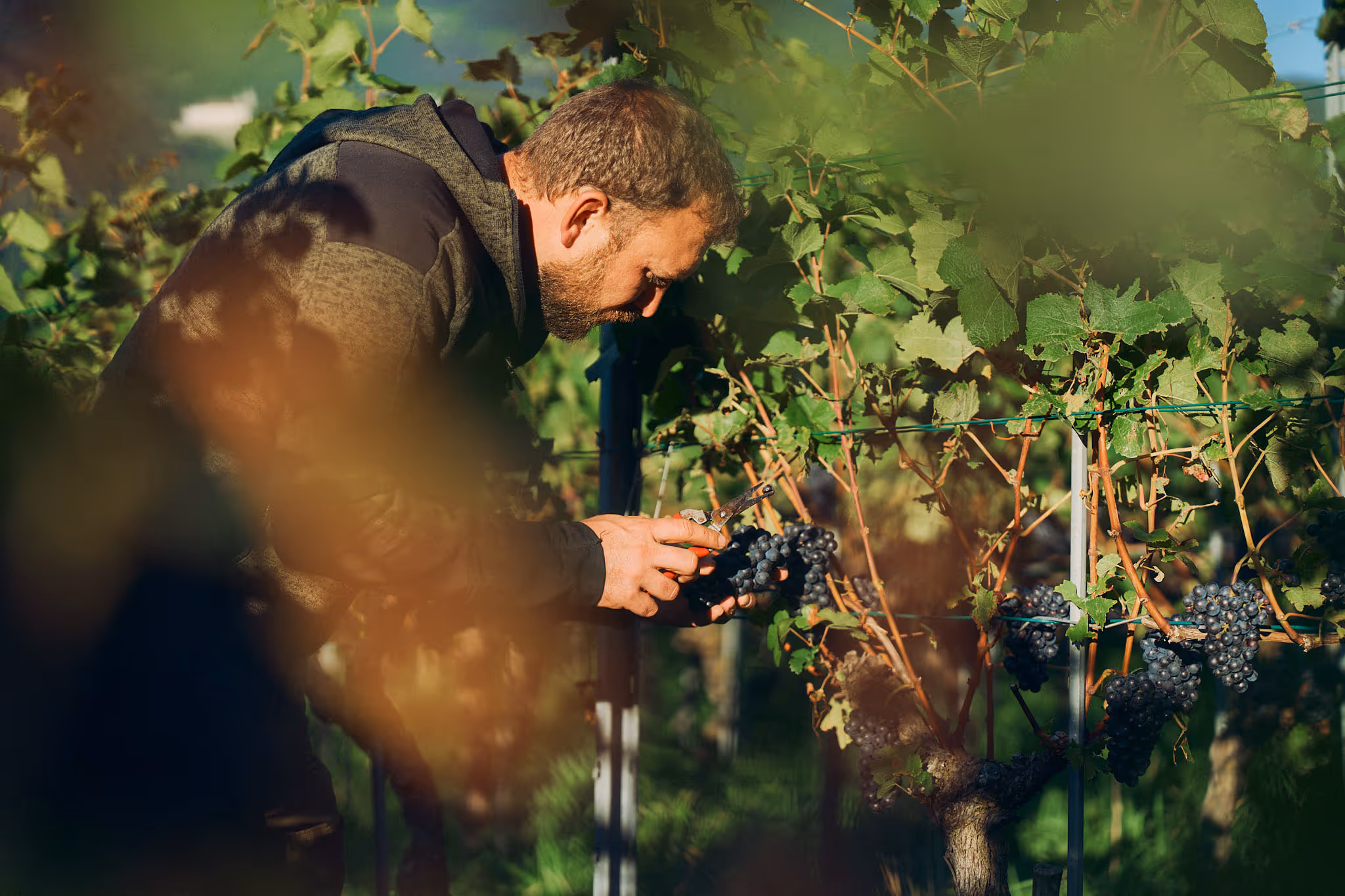 Weisst du, was ein Ansteller ist?