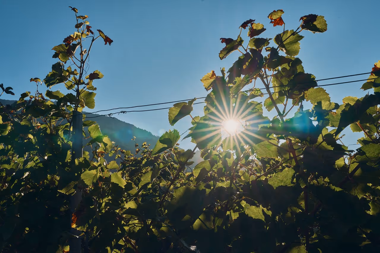  Jahresrückblick 2025