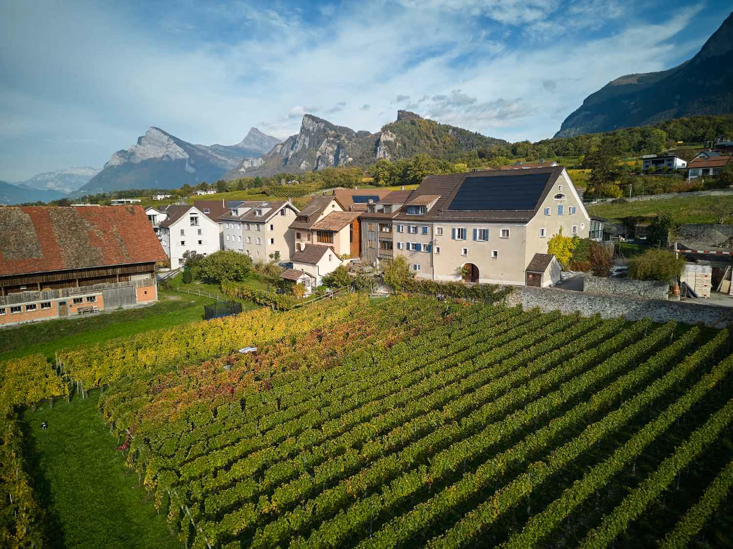 Weinreben, Wingert vor dem Weingut Lampert in Maienfeld mit Blick auf die umliegende Bündner Berglandschaft.