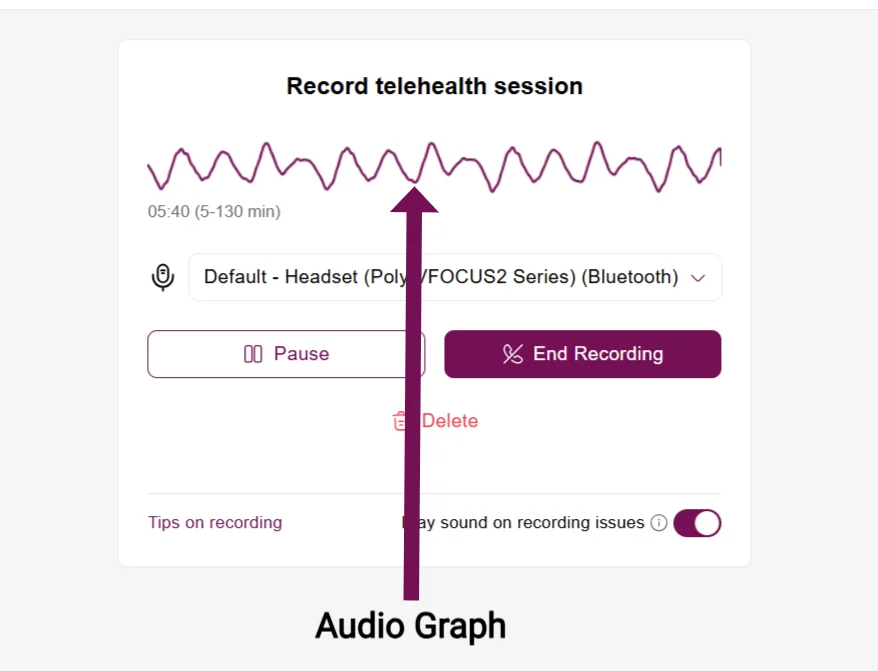 Screenshot: live audio graph during a Record Telehealth session