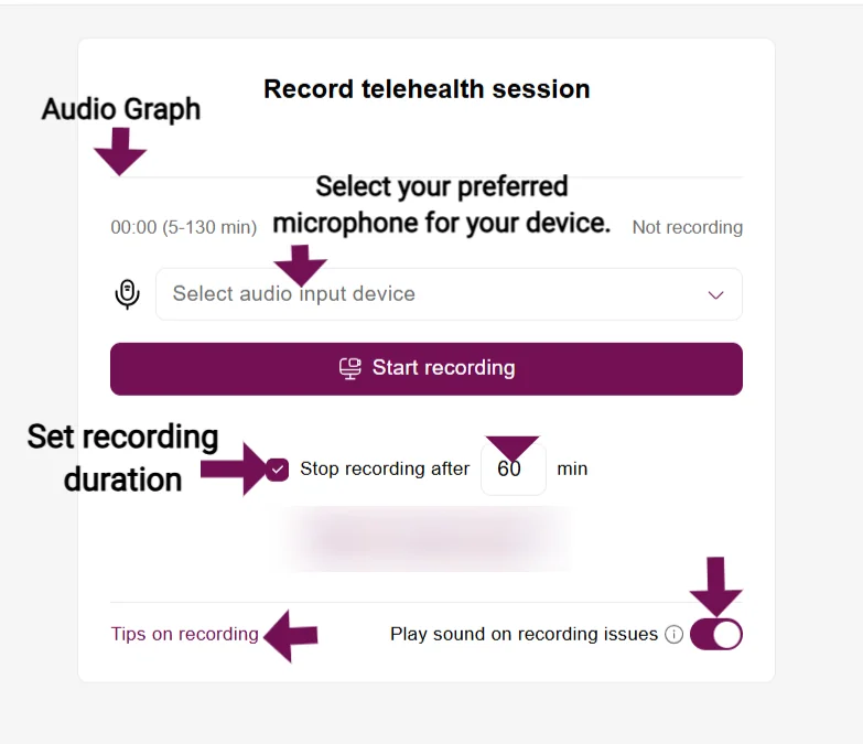 Screenshot: Audio Alerts: Keep the 'Play sound on recording issues' toggle on to be notified if a problem occurs