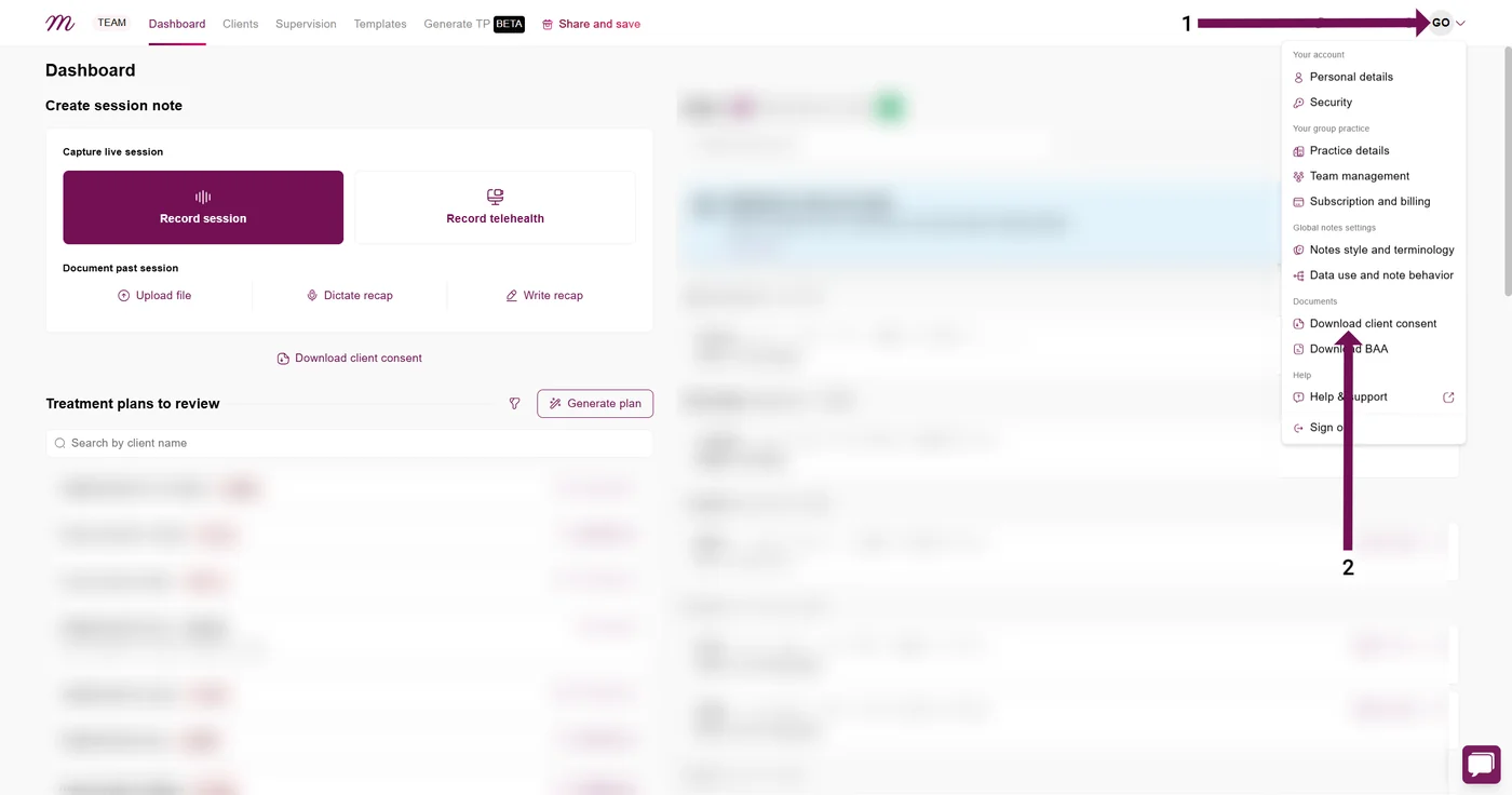Screenshot: Mentalyc client consent form