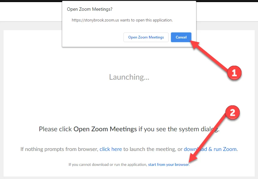 Screenshot: On the page, click the 'Join from Your Browser' link