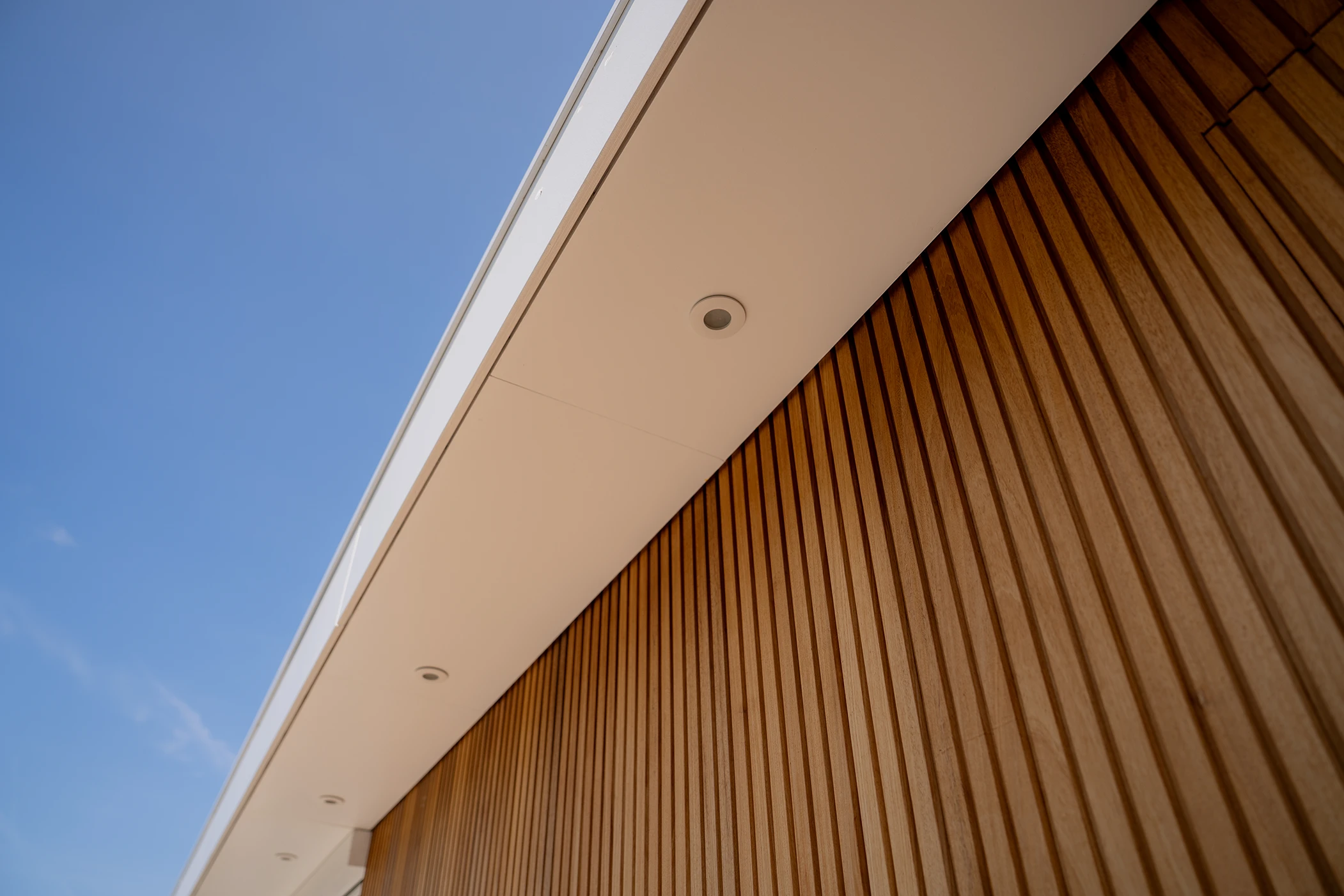 Close-up van spotlights aan een overkapping met douglas hout