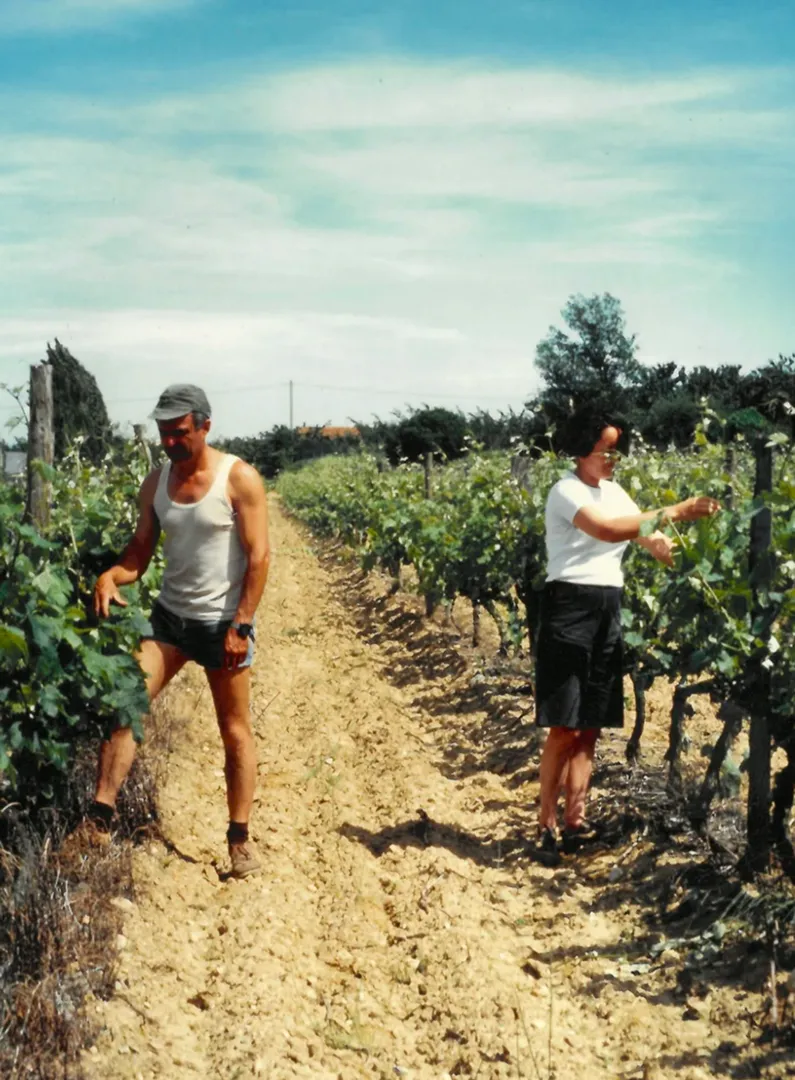 Nicole et Bernard Chave travaillant dans un vignoble par une journée ensoleillée, entourées de rangées de vignes.