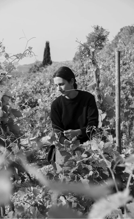 Daphné Chave travaillant dans un vignoble, entourée de vignes, regardant les feuilles.