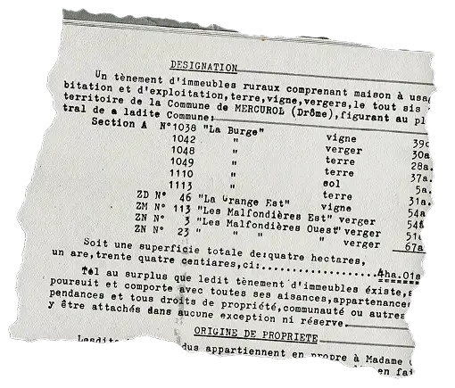 Document officiel détaillant la désignation d'un ensemble rural avec maisons, terres, vignes et vergers dans la commune de Mercurol.