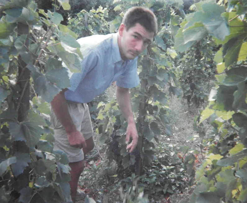 Yann Chave plus jeune penché inspecte des plants de vigne dans un vignoble verdoyant.